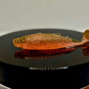 Box Ukleja 5 cm Motor Oil Brow Fiolet