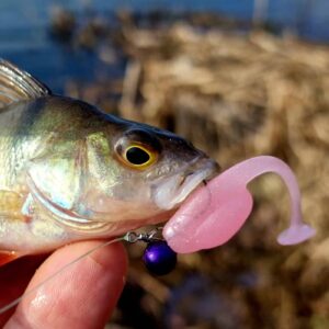 "Bejbi" 5 cm Majtkowy Róż