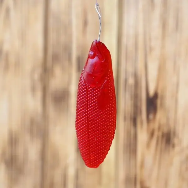 Barwnik -Transparent- Czerwony Ochotka - Image 2