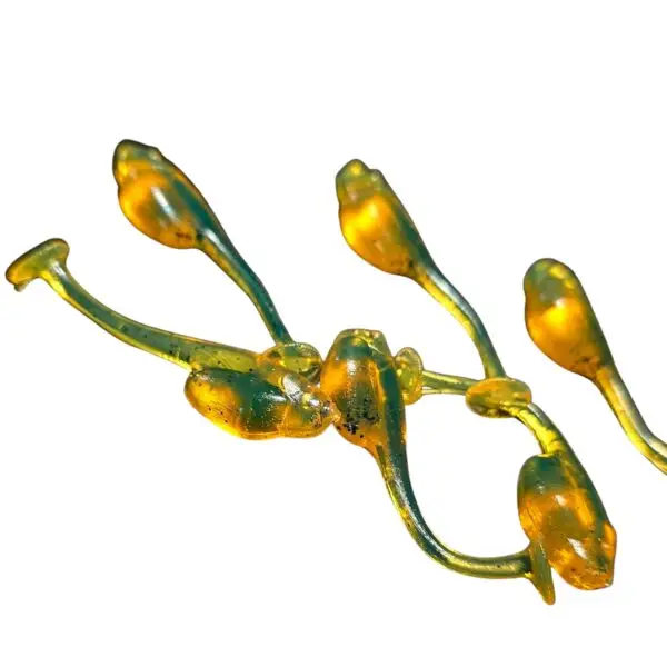 "Bejbi" 5 cm Herbata - Image 3