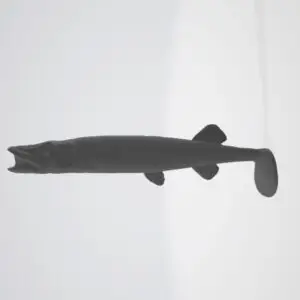 Formy Aluminiowe