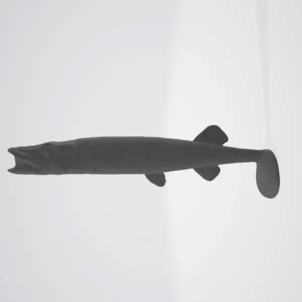 Formy Aluminiowe