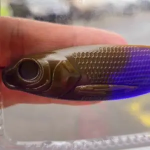 Barwnik - Cameleon- Brown/Denaturat