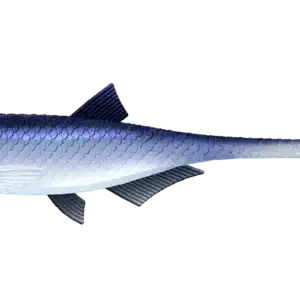 Libra Lures Bleak Slug Tail