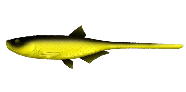 Libra Lures Bleak Slug Tail - obrazek 2