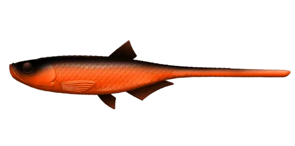 Libra Lures Bleak Slug Tail - obrazek 2