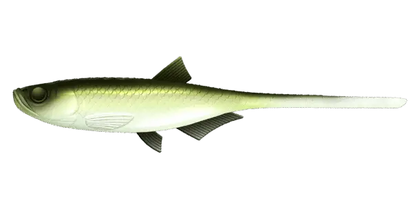 Libra Lures Bleak Slug Tail - obrazek 2