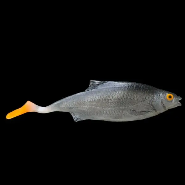 Płoć 19 cm