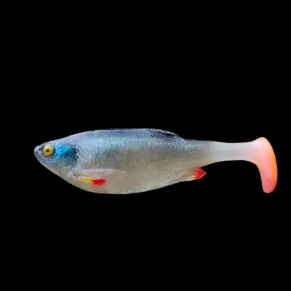 Wzdręga 12 cm