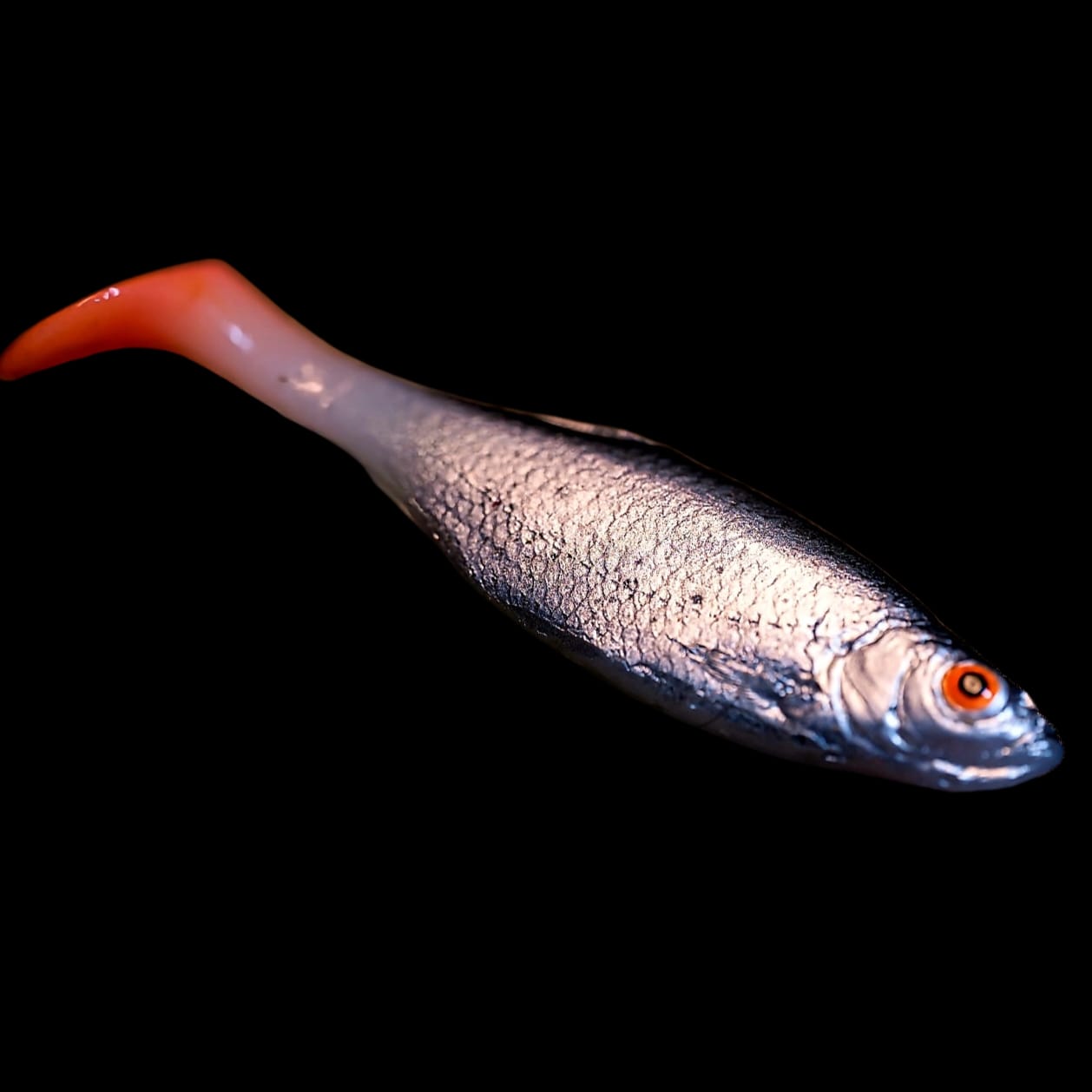 Płotka 8 cm - obrazek 3