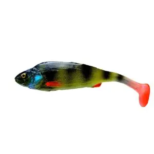 OKOŃ 12 CM