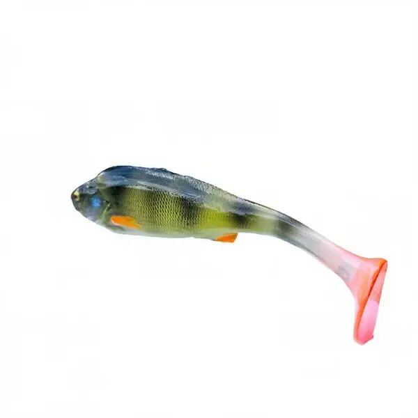 OKOŃ 8 cm - obrazek 5