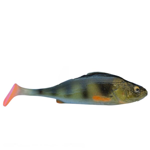 OKOŃ 14 CM