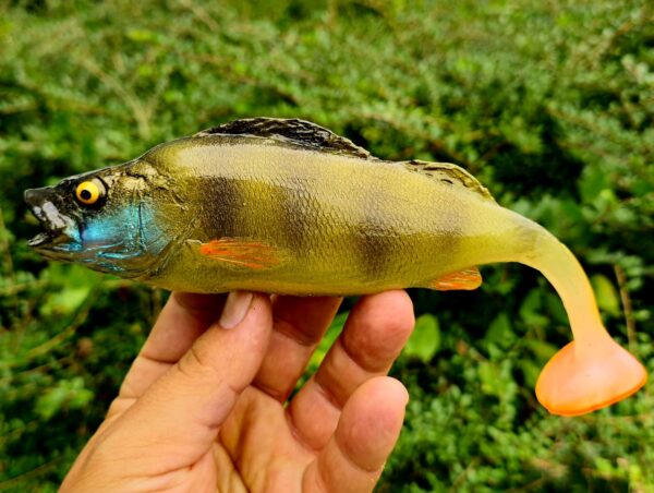 OKOŃ 23 cm - obrazek 4