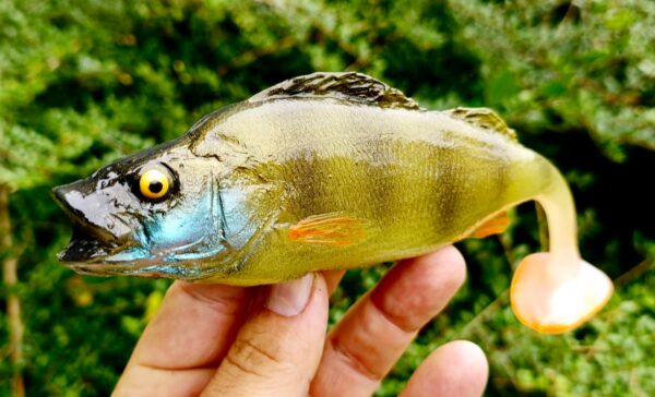 OKOŃ 23 cm - obrazek 3