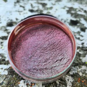 Cameleon Zielono-Brązowy