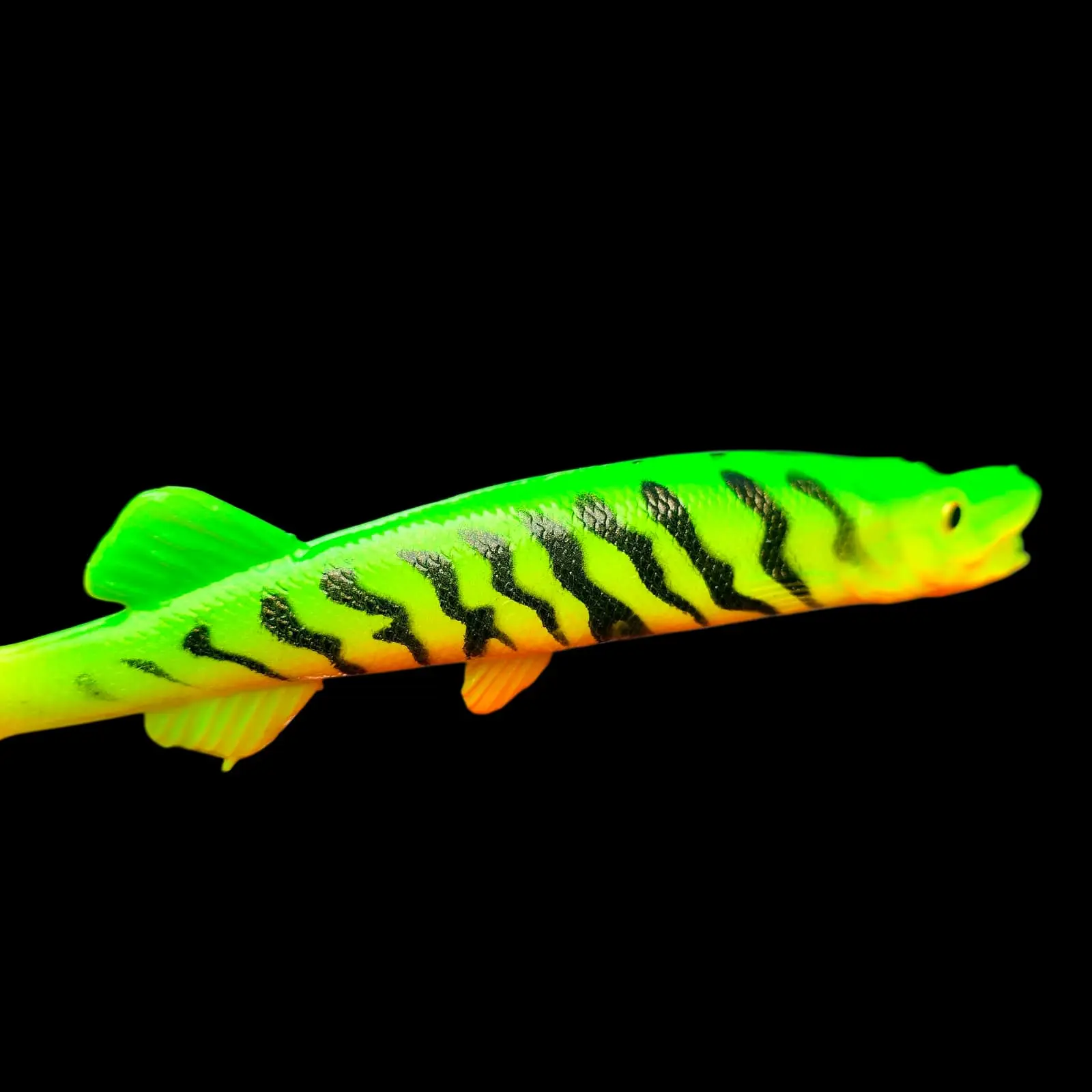 Szczupak Fire Tiger - obrazek 2