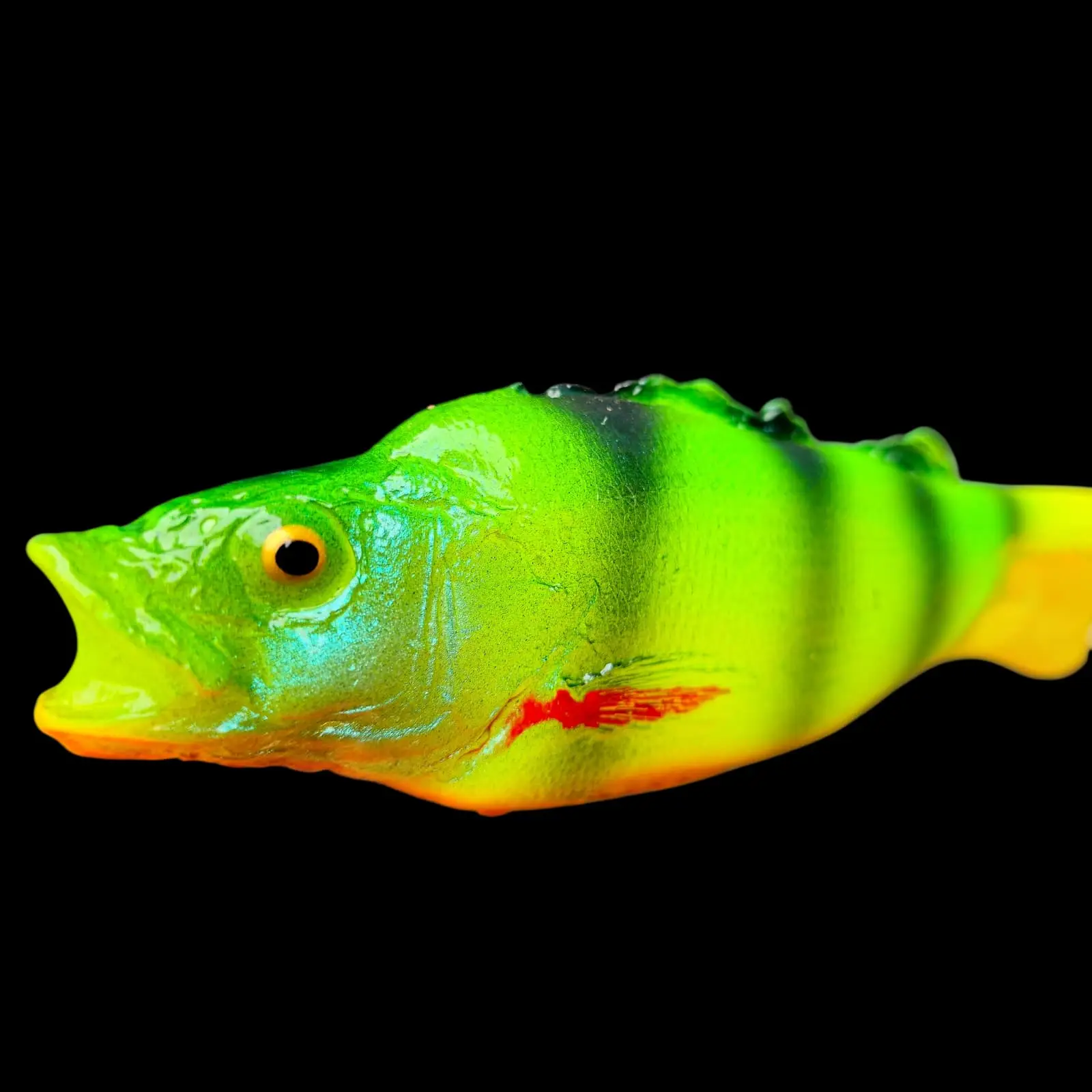 OKOŃ 23 cm Fire Tiger - obrazek 3