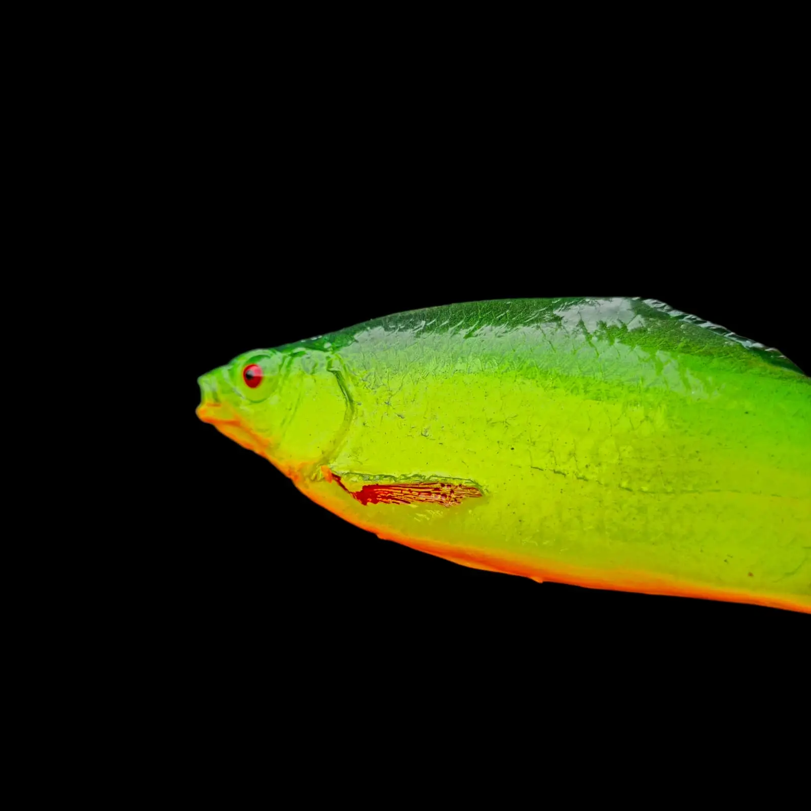 Płoć 19 cm Fire Tiger - obrazek 4