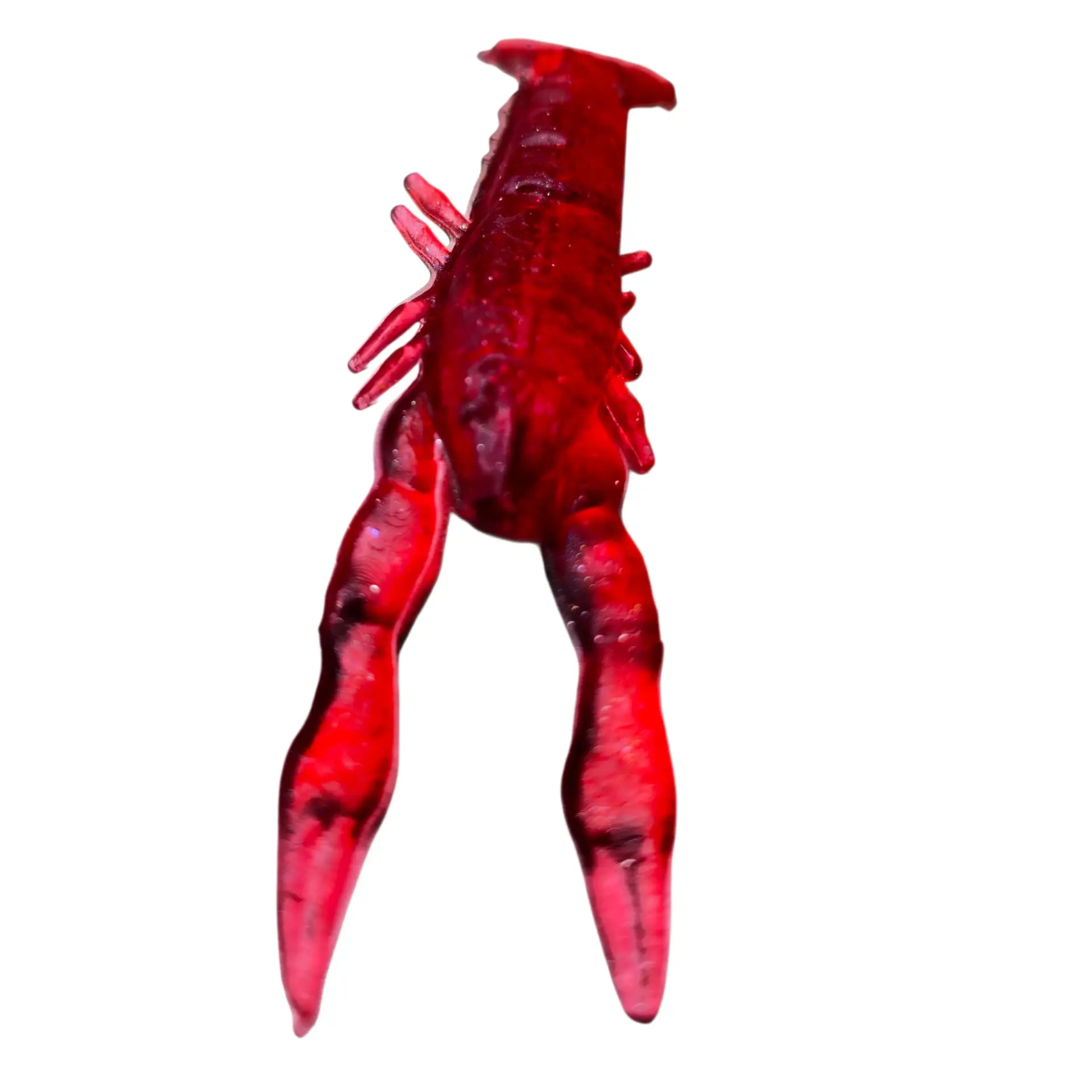 Raczek Czerwony - obrazek 2