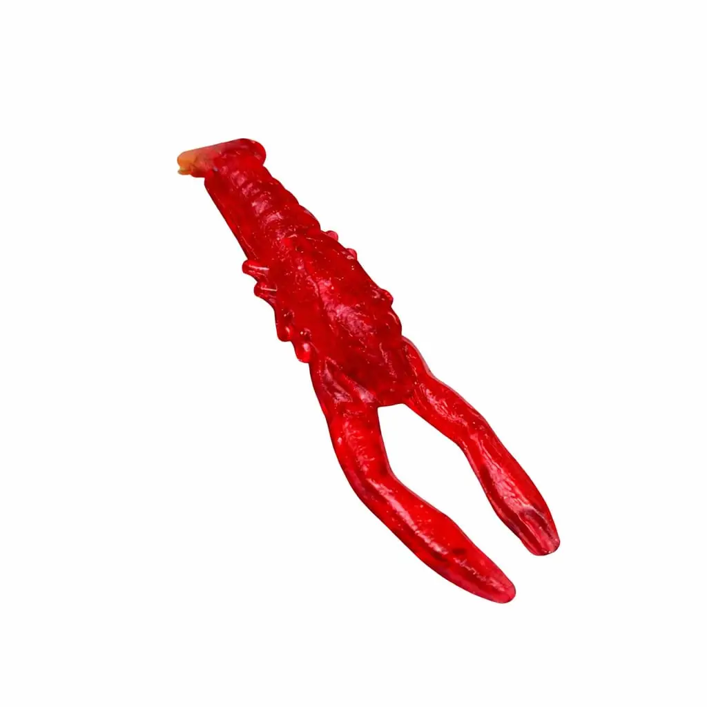 Raczek Czerwony - obrazek 4