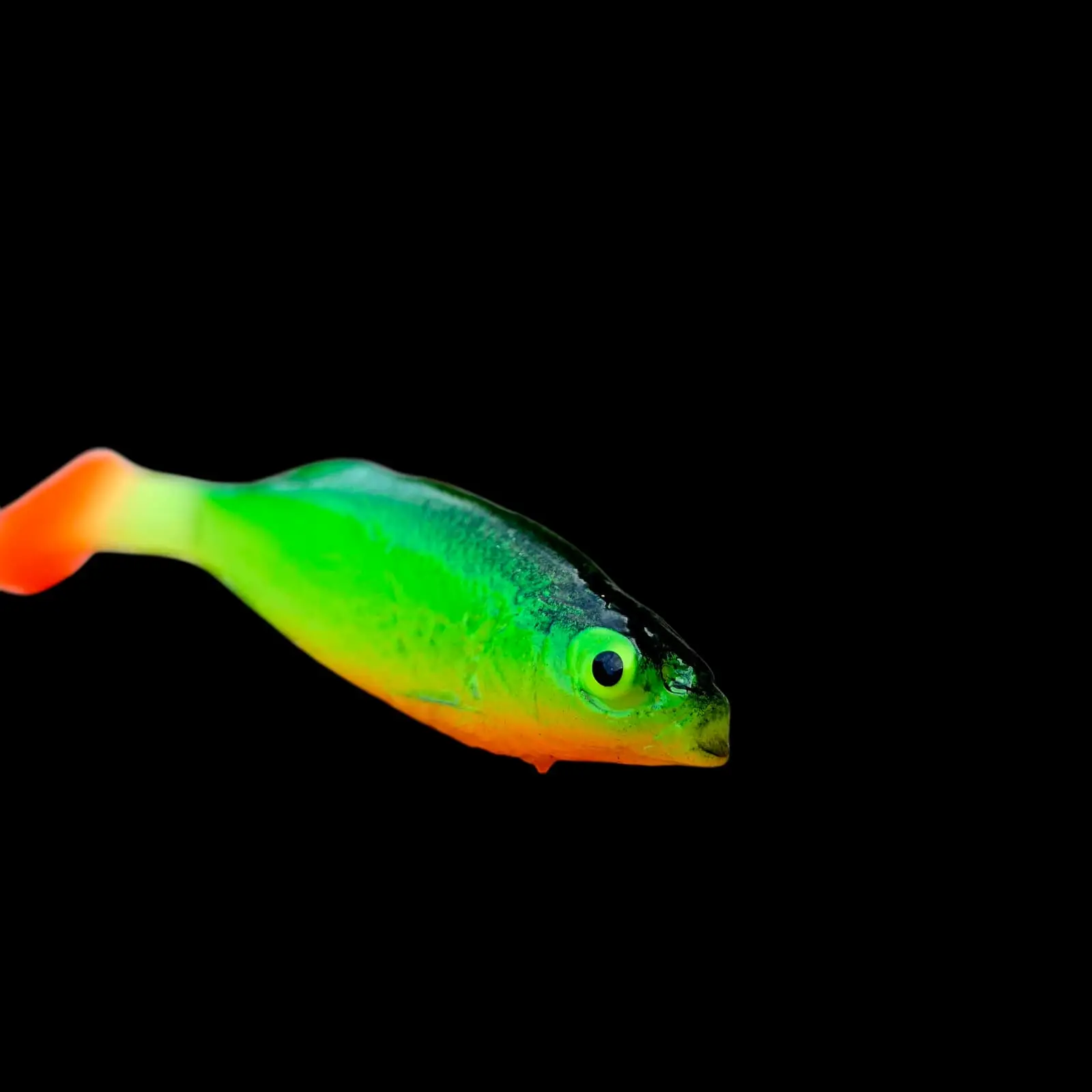 Jaź 10 cm FIRE TIGER - obrazek 2