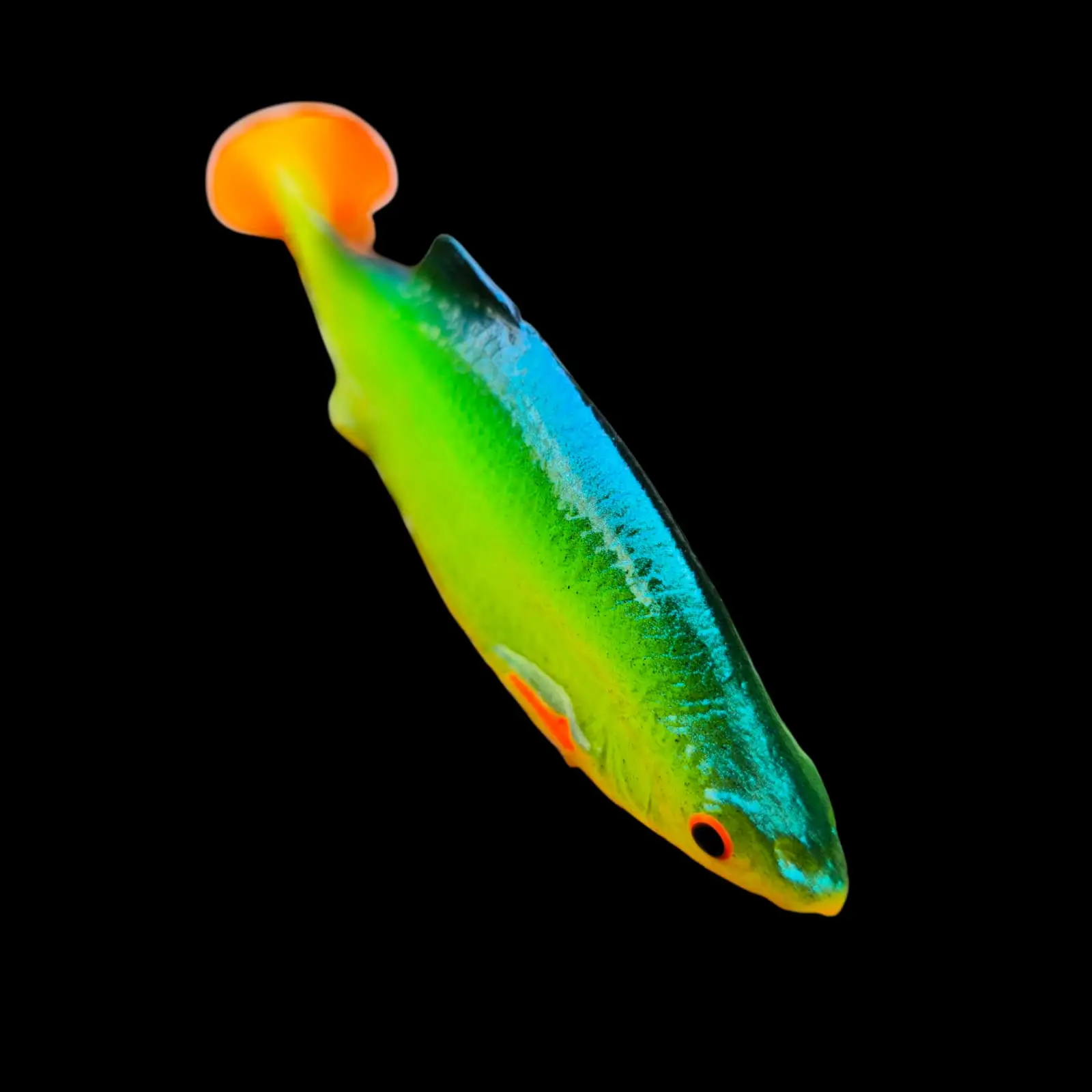 Płoć 12 CM FIRE TIGER - obrazek 2